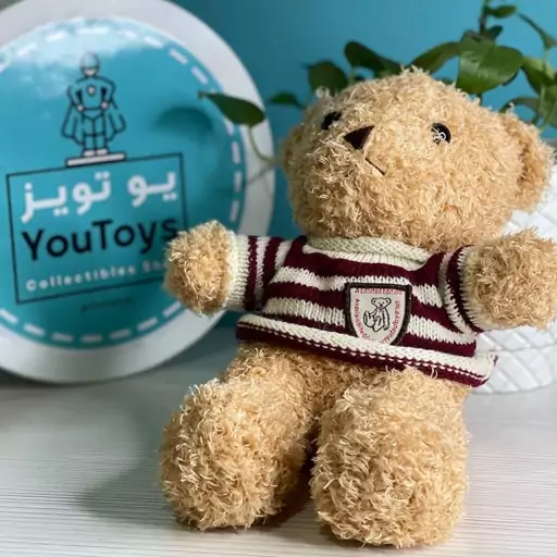 عروسک خرس پشمالو فرفری با لباس مارک دار
